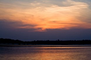 Amazonia #73