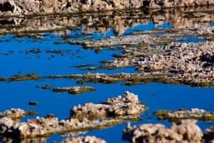 Reflection Salar #3