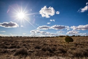Arizona #2