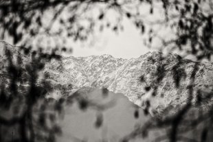 Santiago #5