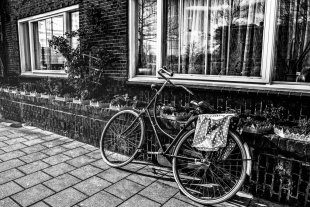 Amsterdam #30