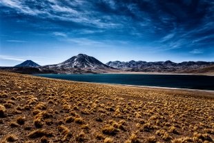 Atacama #64