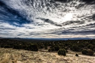 Arizona #85