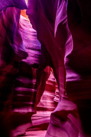 Arizona #93