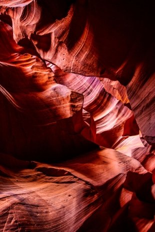 Arizona #96