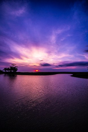 Amazonia #118