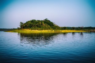 Amazonia #112