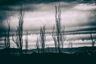 Vale Nevado #7