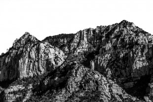 Arizona #134