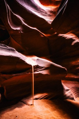 Arizona #125