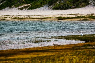 Jericoacoara #70