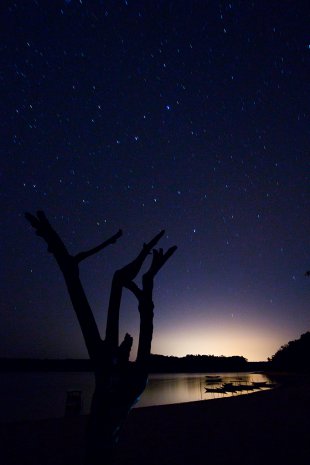 Amazonia #144