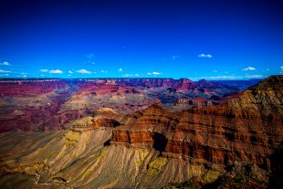 Arizona #142