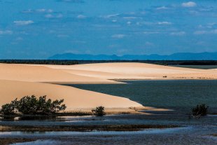 Jericoacoara #170