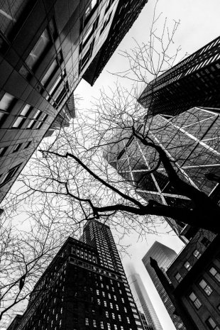 New York #66